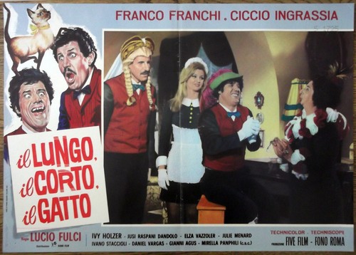 Lungo corto il gatto - il,