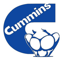 Adesivo decalcomania auto