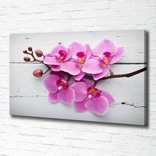 Tulup Dipinto Su Tela Pittura