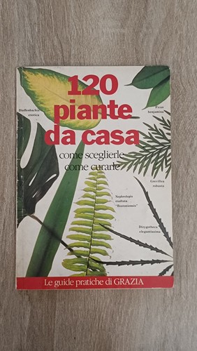 120 piante casa le - da,