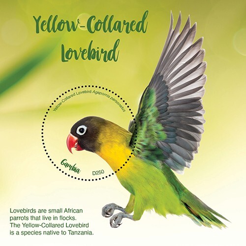 Gambia 2020 lovebird dal - gambia,