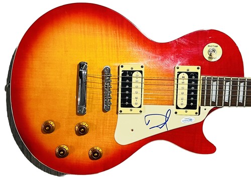 Chitarra firmata foo - chitarra, fighters