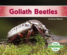 Goliath Beetles (Super