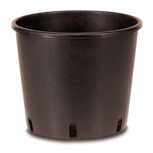 Vaso vivaio nero 18 - 16,