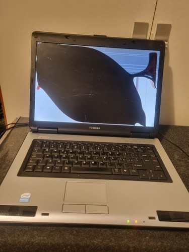 Toshiba equium l40 113 - equium, non
