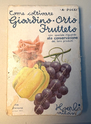 Come coltivare giardino - coltivare, orto