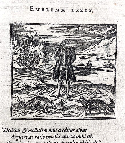 Libertinage 1614 civette - en,