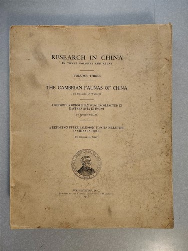 Research china paleontology - research,