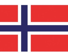 Bandiera 30x45 Norvegia
