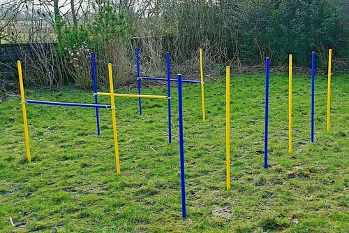 Kit esercizi agility - kit,