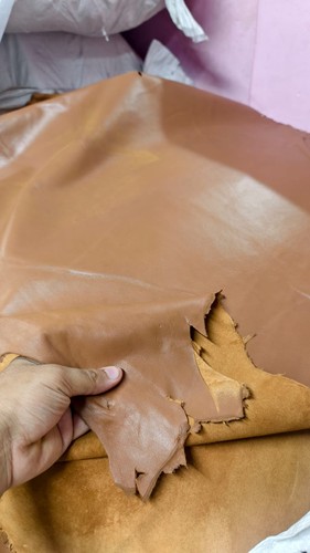 100 originale cammello beige - originale,