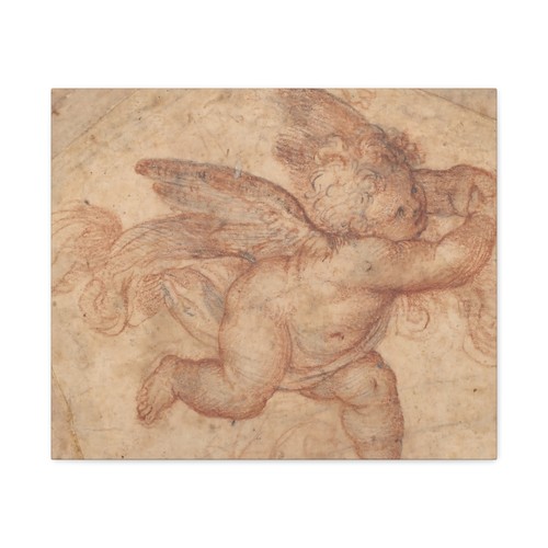 Alberti cherubino angelo - cherubino,