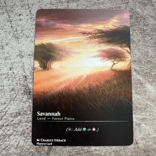 Savannah custom art - custom,