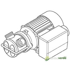 Liverani EP Junior I 1''¼