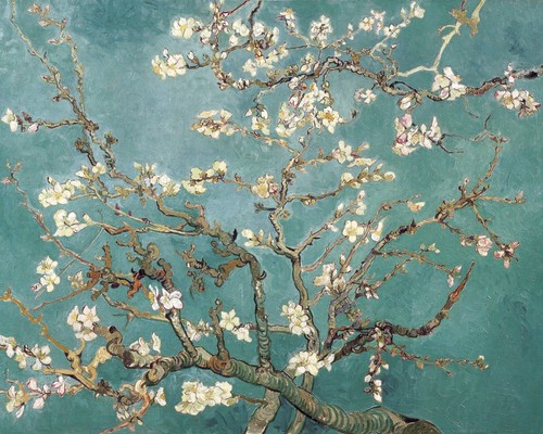 Quadro vincent van gogh fiori - vincent,