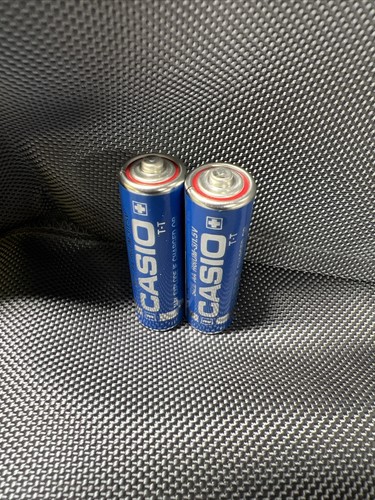 Vtg 1980s casio battery - vtg, aa