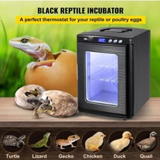 Incubatrice per uova di rettile capacità 25L incubatrice digitale ReptiPro incubatrice per rettili