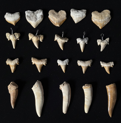 Special offer 20pc set of - offer:,