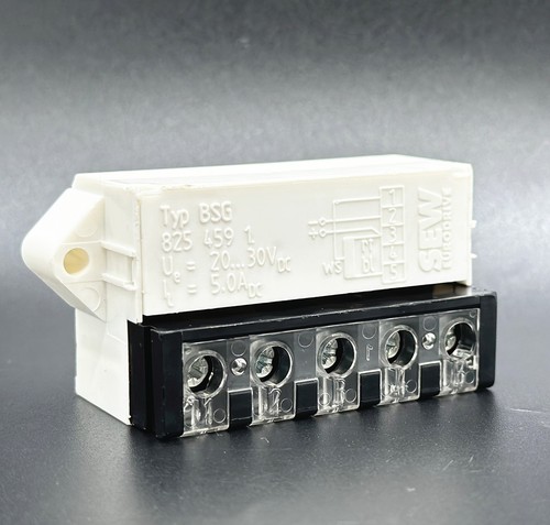 1pz bsg 8254591 - 1pz,