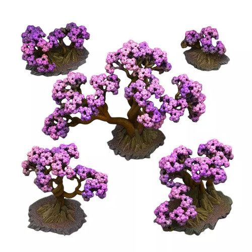 Piante rocce fantastiche - piante,