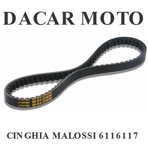 Cinghia malossi gilera nexus - cinghia,