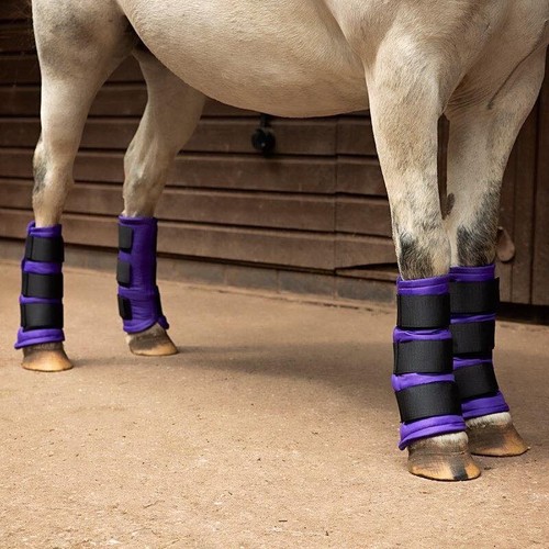 Set impacchi per gambe - set,