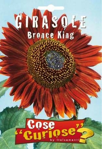 Semi seeds girasole bronce - /,