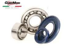 REVISIONE ALBERO MOTORE VESPA