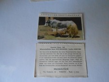 FIGURINA SAFARI N. 13 - ED