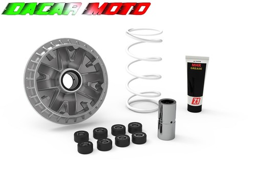 Variatore malossi per suzuki - malossi,