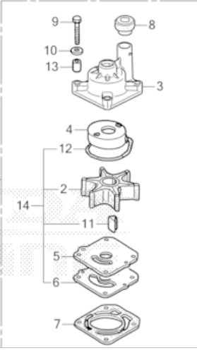 Kit pompe acqua - rep, honda