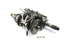 Yamaha YZF-R1 RN19 2007 - A75G