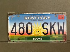 Targa metallica auto americana