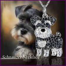 Exquisite and Cute Schnauzer
