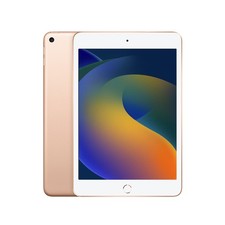 Apple iPad Mini 7.9" 5a Gen Oro Ricondizionato 256GB Wi-Fi + Cellular