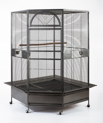 XL Pappagallo Escape Jumbo