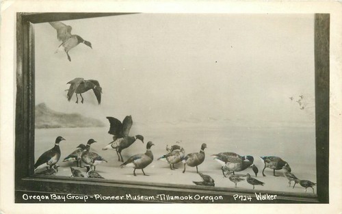 Oregon bay group pioneer - group,