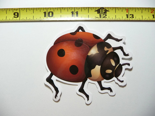 Ladybug piccolo adesivo - piccolo,