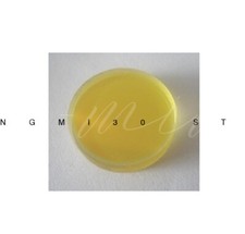 Specchio uscita laser Erbium