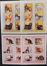 Hunde und Katzen 2001 ZaR