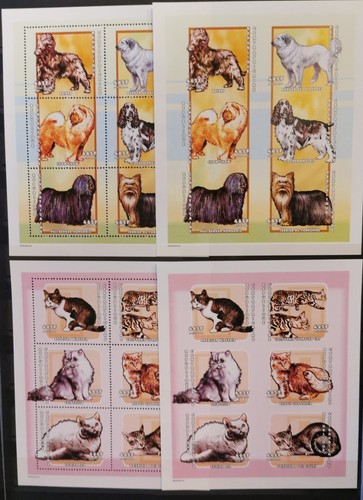 Cani gatti 2001 - cani, e