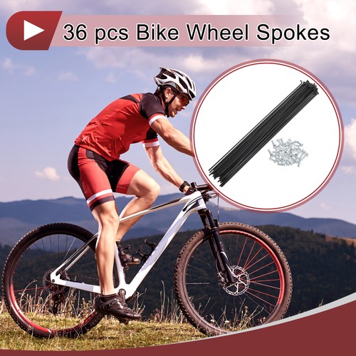 Set raggi bicicletta - 36, 14g