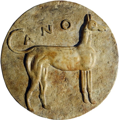 Tondo del cirneco - cirneco, siciliano