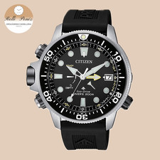 Orologio Citizen Aqualand -