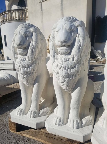 Coppia leoni leone seduto - coppia, di