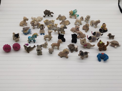 Cuccioli cerca amici animali - cerca,