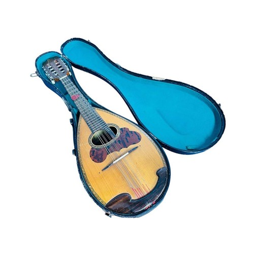 Suzuki mandolin special - mandolin,