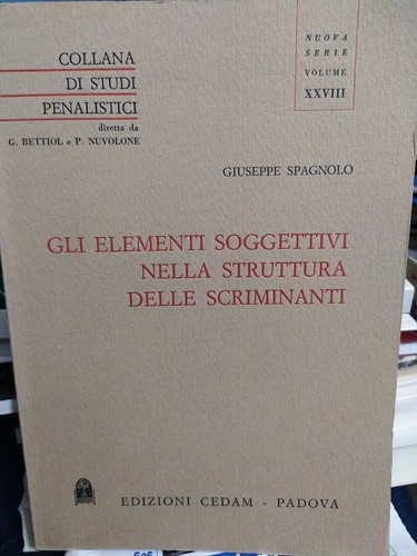 Spagnolo diritto penale