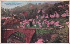 23-29D) CARTOLINA GIAPPONE THE FINE VIEW KWANAIJI HOT SPRING BEPPU