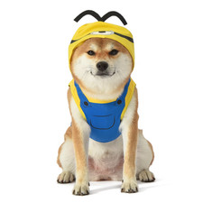 Costume cane Minions "L'ascesa